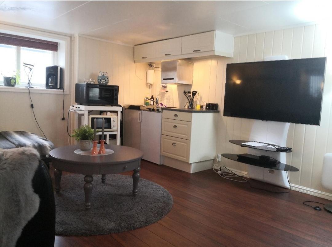 Sentral Studioleilighet Ved Stranden Og Hvalsenter Nb Ma Vaskes Etter Endt Leie Eller Betale Rengjoringshjelpen 500 Kr アンデネス エクステリア 写真