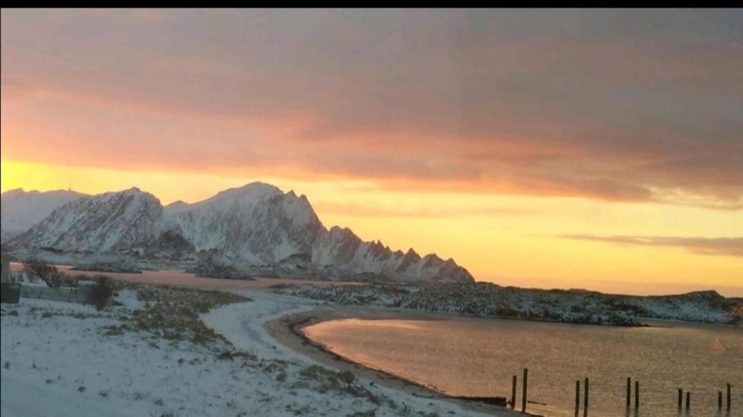 Sentral Studioleilighet Ved Stranden Og Hvalsenter Nb Ma Vaskes Etter Endt Leie Eller Betale Rengjoringshjelpen 500 Kr アンデネス エクステリア 写真