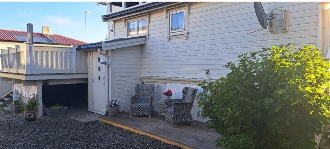 Sentral Studioleilighet Ved Stranden Og Hvalsenter Nb Ma Vaskes Etter Endt Leie Eller Betale Rengjoringshjelpen 500 Kr アンデネス エクステリア 写真